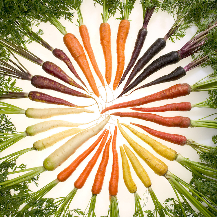 Variety of different colored carrots arranged in a circle. Acupuncture- Health Wellness Articles- Studio City, Toluca Lake, CA