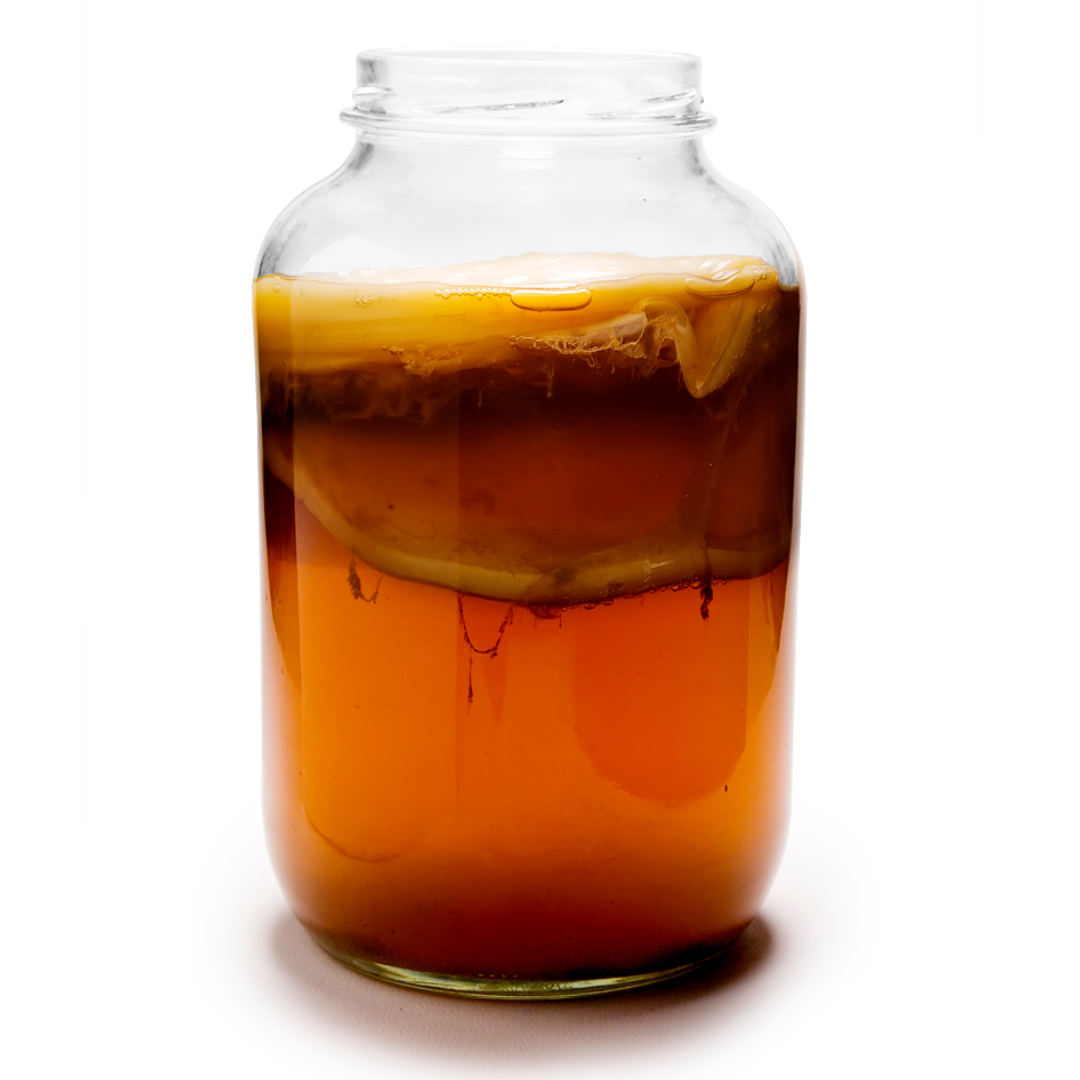 Homemade kombucha tea in a large jar.